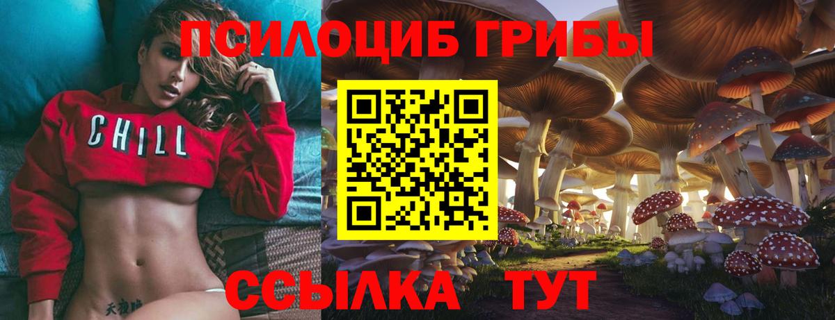 Галлюциногенные грибы Magic Shrooms Тара